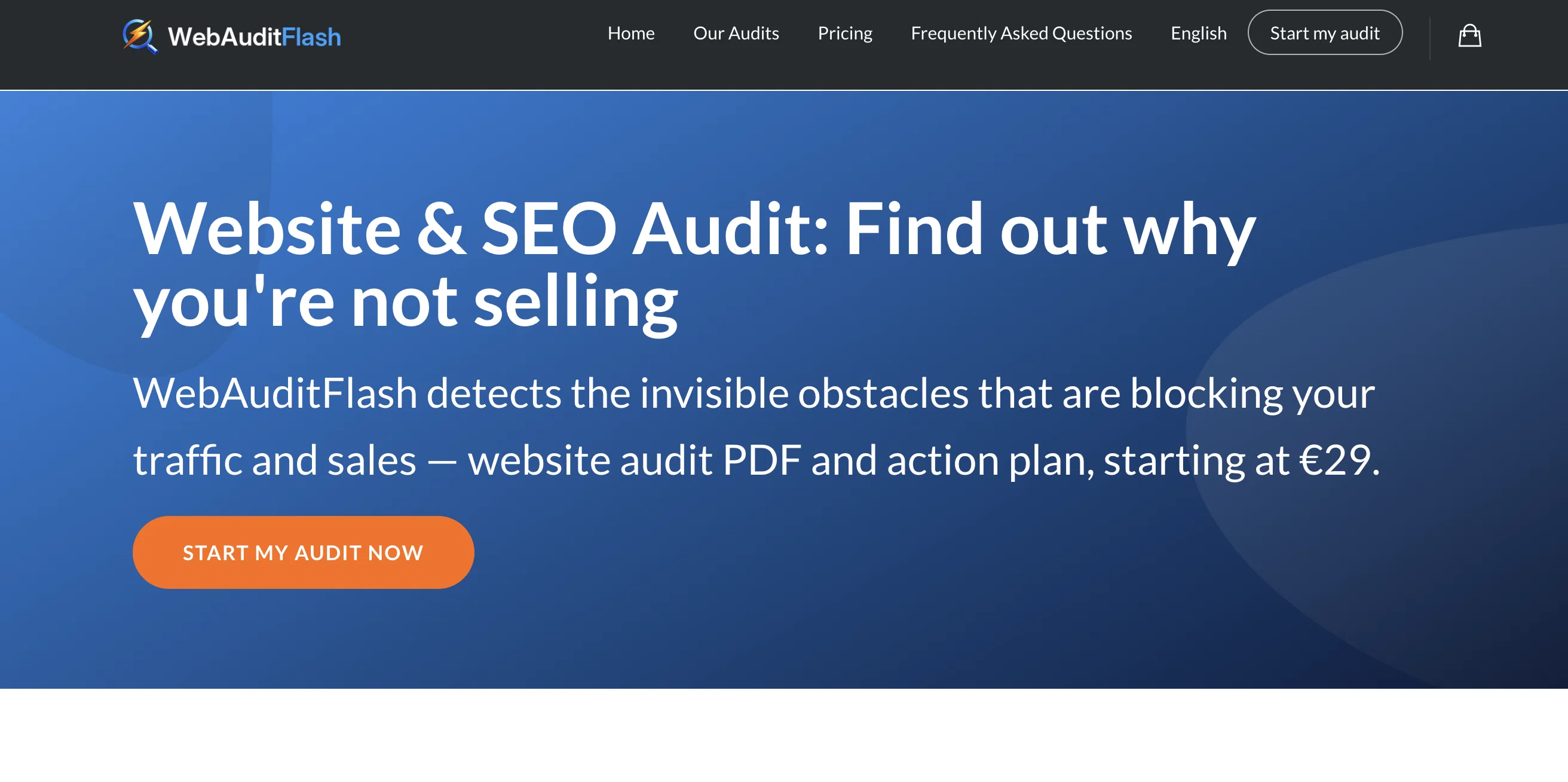 WebAuditFlash screenshot