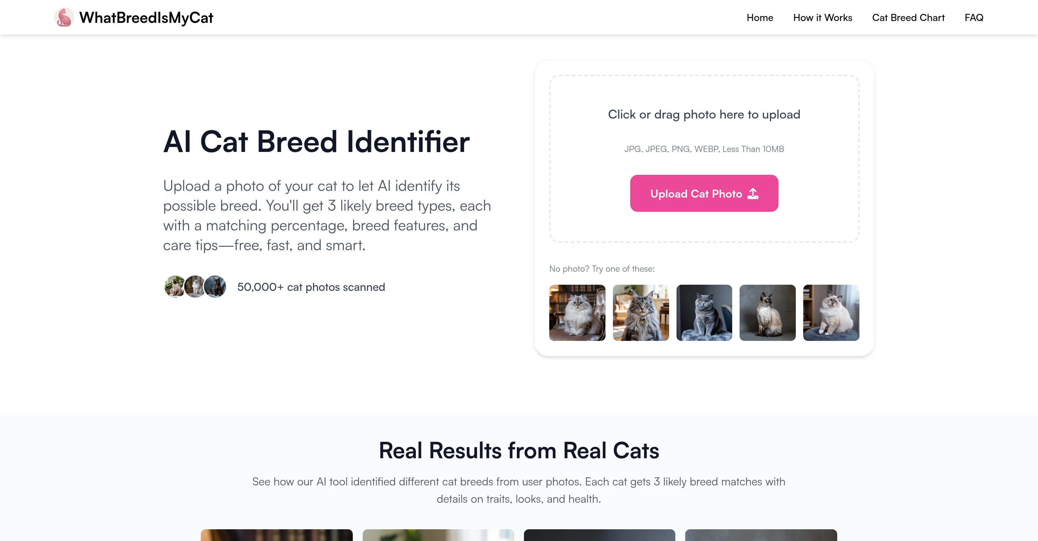 WhatBreedIsMyCat screenshot