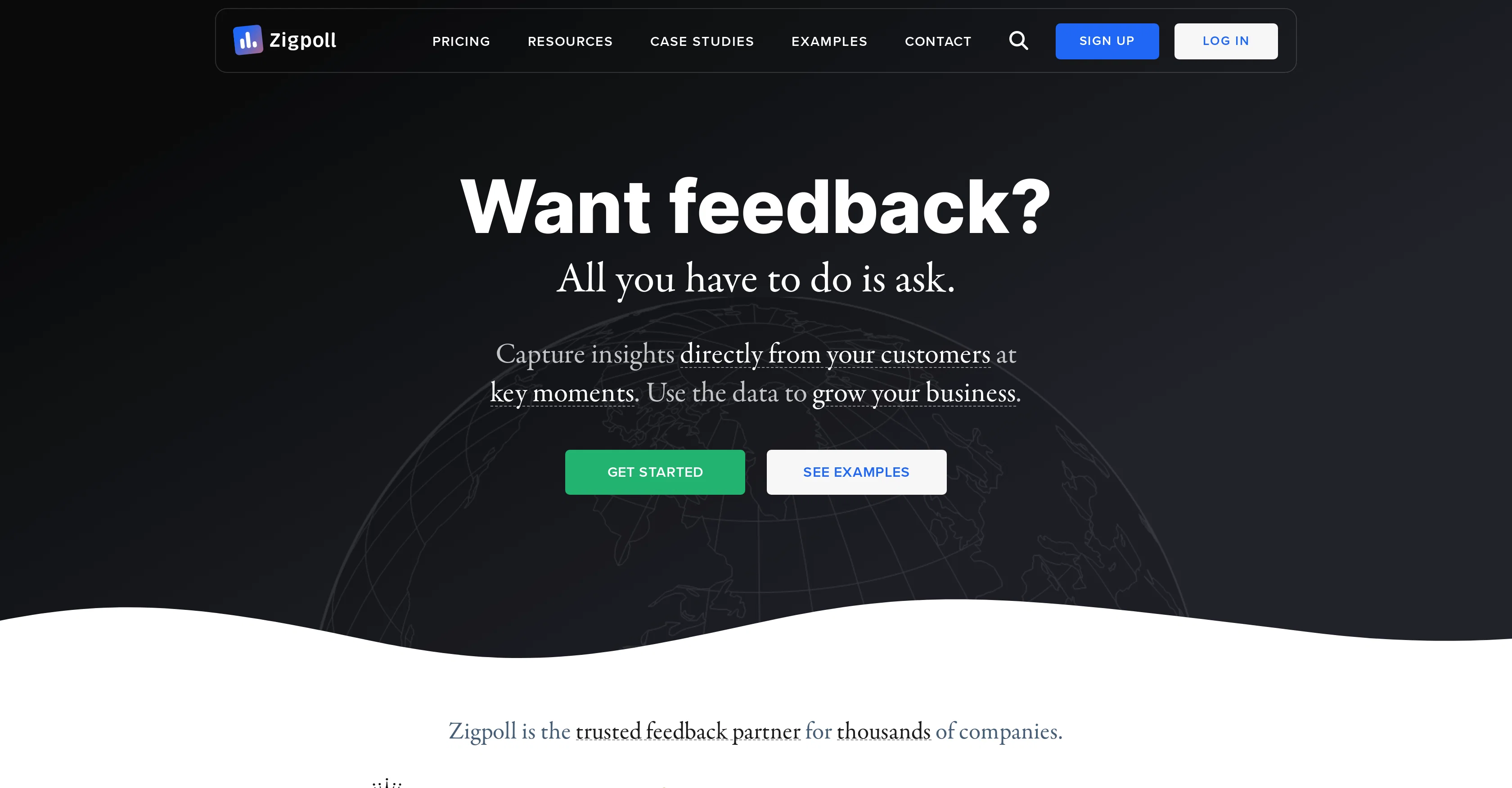 Zigpoll screenshot